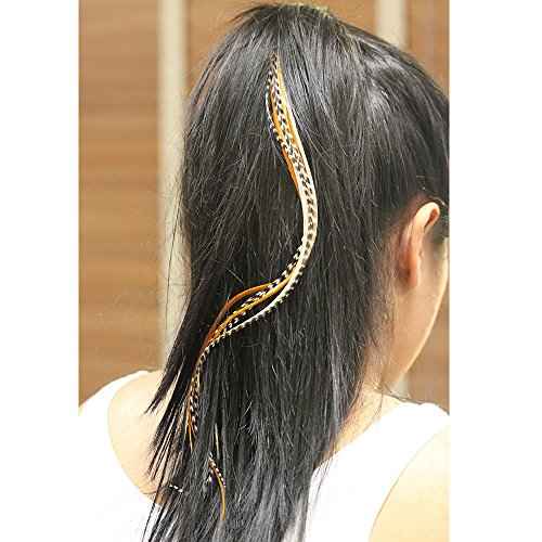 Feather Hair Extension ? Grizzly and Solid Colored Feathers, All Individual Feathers, Ranging From 8 to 11 Inches in Length, With a Total of 20 Real Feathers, Includes Beads and Loop Tool Kit