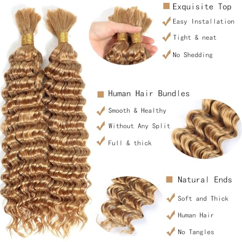 Deep Curly Braiding Human Hair 100g 20 Inch Color 27 Honey Blonde Deep Water Wave Bulk Human Hair for Braiding No Weft Brazilian Virgin Deep Curly Human Hair Extensions for Boho Braids
