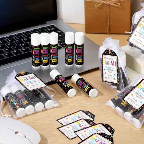 100 Pack Christmas Employee Staff Appreciation Gifts Bulk Lip Balms Team Thank You Gifts Coworkers Teacher Nurse Appreciation Christmas Party Favors Stocking Stuffers for Volunteer Homeless