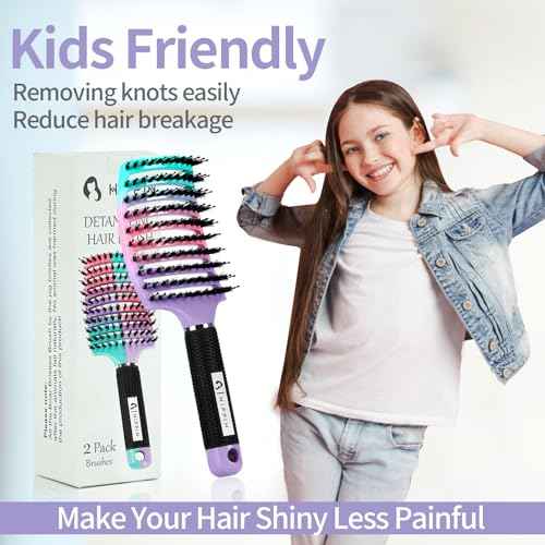 Hair Brushes for Women 2 Pack, HIPPIH Detangler Hair brush for Adult & Kids¡¯ Wet or Dry Hair, Boar Bristle Hair Brush Getting Knots Out without Pain Adds Shine and Makes Hair Smooth