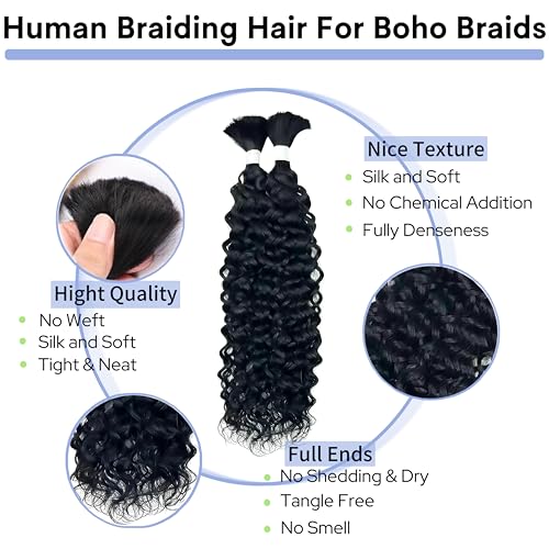 Human Braiding Hair for Boho Braids 26inch 100% human hair Water Wave Bulk Braiding Knotless No Weft Curly Bundles Human Hair Wet and Wavy Micro Hair Extensions Bulk 2 Bundles 100g hair Natural Color