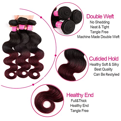 Ombre Brazilian Virgin Hair Body Wave Human Hair Bundles 12+14+16 inch 3 Bundles 100% Virgin Hair Bundles 2 Tone Black to Burgundy Human Hair Weave(12 14 16, T99J#)
