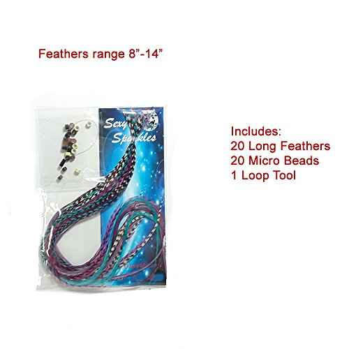 Feather Hair Extensions, 100% Real Rooster Feathers, Long Violet, Purple, Blue Colors, 20 Feathers with 20 Beads and Loop Tool Kit by Sexy Sparkles