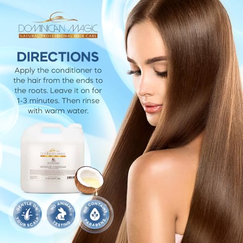 Detangler Conditioner Coconut Infused 2.6