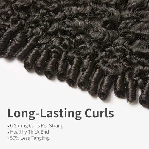 ASHINE Burmese Curly Bundles Human Hair Unprocessed Raw Burmese Curly Water Wave Human Hair Single Bundle 20 inch Natural Black