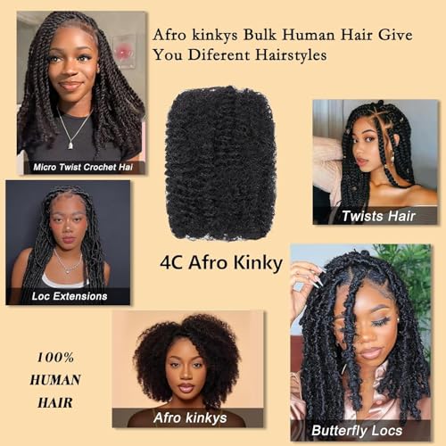 Afro Kinkys Bulk Human Hair 20 Inch for Braiding Afro Kinky-Curly Human Hair Bulk For Mini Twist, Repair Locs Hair Bulk Human Braiding Hair for Micro Dreadlocs Extensions(1B,35g/pack)