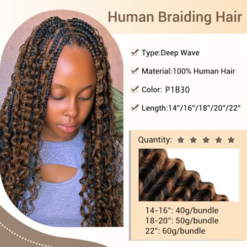 Human Braiding Hair for Boho Knotless Braids Deep Wave Bulk Human Hair 10A Brazilian Virgin Human Bohemian Hair for Braiding Wet and Wavy 3 Bundle 16 Inches 120g Balayage Black to Brown 1BP30