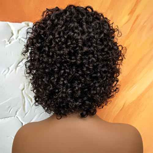 HairyFairy short curly wigs, 100% human hair wigs for black women, human hair wig with bangs glueless, machine made, no lace, light and comfortable (natural black, 12 inches)