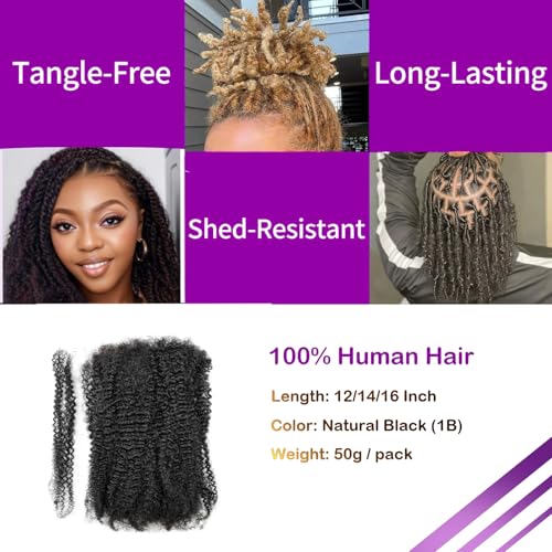 100% Unprocessed Afro Kinky Curly Bulk Human Hair 14 Inch (2 Bundles ? 50 g Each, 100 g Total) for Loc Extensions, Braiding & Mini Twists ? #1B Natural Black, Dye & Bleach Safe with Hook & Comb