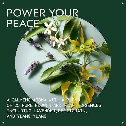 Aveda Shampowder Dry Shampoo Powder | Non-Aerosol Dry Shampoo | Volume and Texture | 99% Naturally Derived* | Iconic Shampure Aroma of Lavender and Ylang-Ylang, 2 Ounce