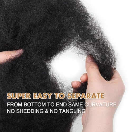 Afro Kinkys Bulk Human Hair, 4c Curly Hair for Permanent Sister Locs/Mini Twists/Braids/Repair Can Dye and Bleach(22 inch),Black