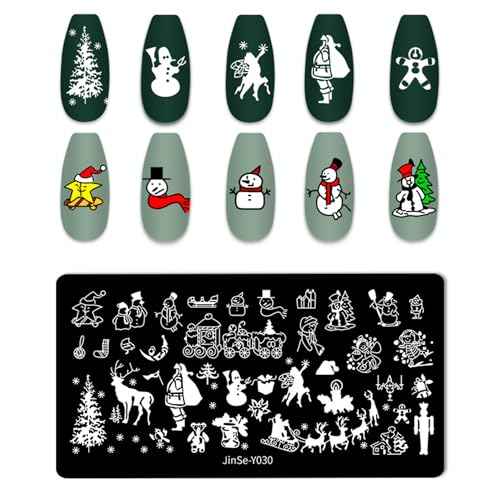 DANNEASY 6 Pieces Christmas Nail Stamping Plate Nail Stamps Nail Stencils Nail Art Stamping Kit Snowflake Plates for Nails Design Manicure Template Tools Acrylic Nail Accessories