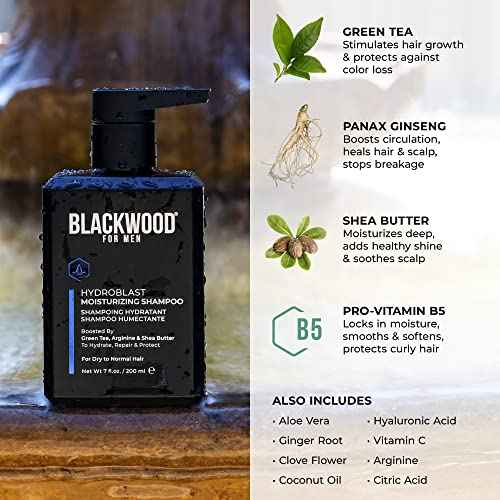 Blackwood For Men Hydroblast Moisturizing Shampoo - Men's Shampoo for Coarse, Dry, & Curly Hair-Infused with Ginseng & Ginger - Natural Vegan Formula -Sulfate Free, Paraben Free & Cruelty Free (7 Oz)