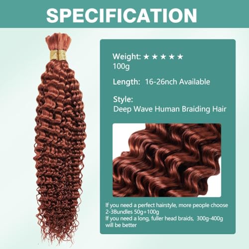 100g 24 Inch Deep Wave Bulk Human Braiding Hair Color 350 Human Braiding Hair for Boho Braids 2 Bundles/Pack No Weft 100 Percent Brazilian Human Braiding Hair Extensions for Micro Braiding