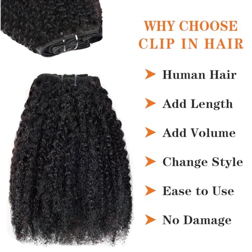 Afro Kinky Curly Clip in Hair Extensions Human Hair 4C Hair Clip in Extensions 8pcs 240g/set 10A Brazilian Virgin Natural Hair Clip Ins for Black Women Natural Black Color 16 Inch