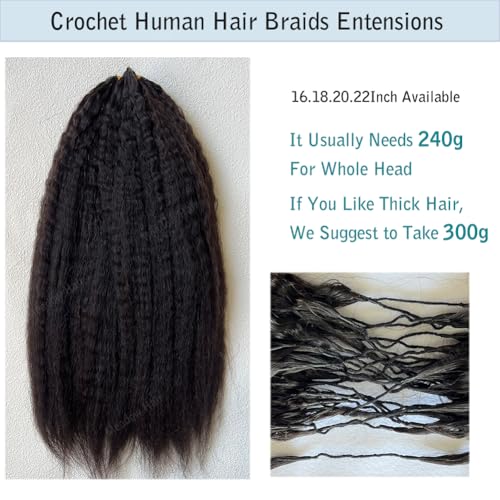 Kinky Straight Knotless Pre Separated Crochet Human Hair Extensions Pre Looped Braids Bundles With Threading Burmese Virgin Human Hair for Braiding Micro Link Meadow Hair 16inch 60g