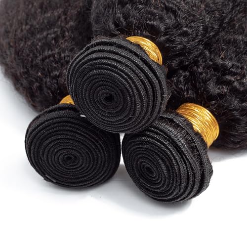 Kinky Straight Human Hair Bundles 100% Unprocessed Brazilian Remy Soft Yaki 3 Bundles Human Hair (12 14 16 Inch)