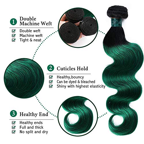 SEXAYHAIR Green Human Hair Brazilian Ombre Body Wave Bundles 1bGreen Virgin Hair 3 Bundles T1b/Green Color Human Hair Bundles Extensions for Women (12 14 16)