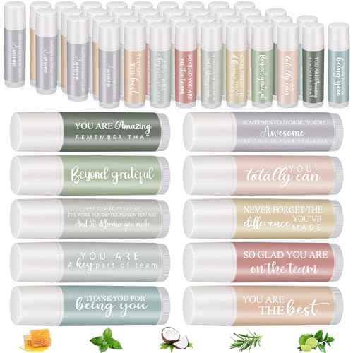 100 Sets Employee Appreciation Gifts Bulk for Coworkers Lip Balm Favors Thank You Team Gifts for Coworkers Staff Teachers Nurse Volunteer Thanksgiving Christmas Appreciation, 5 Flavors