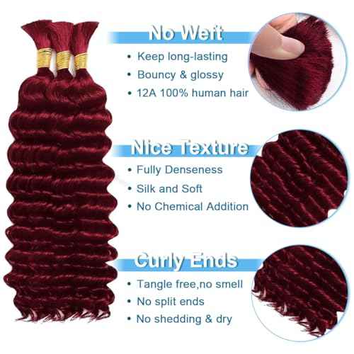 Human Braiding Hair for Boho Braids 110g 20 Inch Burgundy Curly Boho Hair for Braiding Knotless 12A Deep Wave Wet and Wavy Bulk Bohemian 3 Bundles/Pack Color 99J