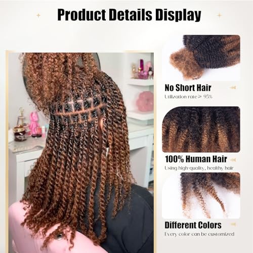 Afro Kinky Bulk Human Hair, 4C, 50g/pack, Braiding Hair for Mini Twists and Sister Locs (#30/1b/30 20inch)