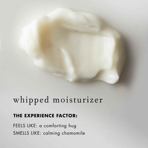 Bioelements Barrier Fix Daily Hydrator - 1.7 fl oz - Clinical Face Moisturizer - Target Irritation & Strengthen Sensitive, Dry Skin - Vegan, Gluten Free - Never Tested on Animals