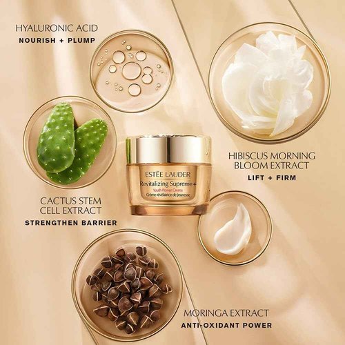 Estée Lauder The Power Pair Mini Serum + Moisturizer Travel Set | Includes Advanced Night Repair Serum 0.24 Fl Oz & Revitalizing Supreme Moisturizer 0.5 Ounce