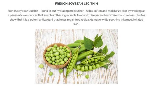 Pistaché Skincare Pistachio Oil Hydrate & Glow Beauty Duo | Face Moisturizer & Brightening Eye Cream | Hydrating with Vitamin E & Antioxidants