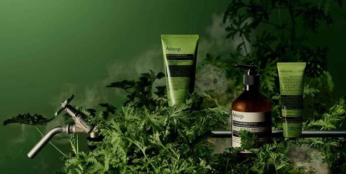 Aesop Geranium Leaf Body Cleanser Refill | Invigorating Gentle Cleansing Gel | Green, Citrus, Fresh | 16.9 fl oz
