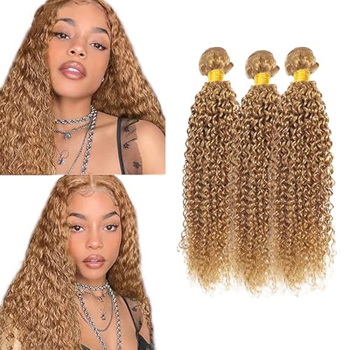 27 Bundles Human Hair Blonde Kinky Curly Human Hair Bundles 20 20 20 Inch Brazilian Virgin Hair 3 Bundles Honey Blonde Bundles Human Hair Color #27 Curly Bundles Hair Weave