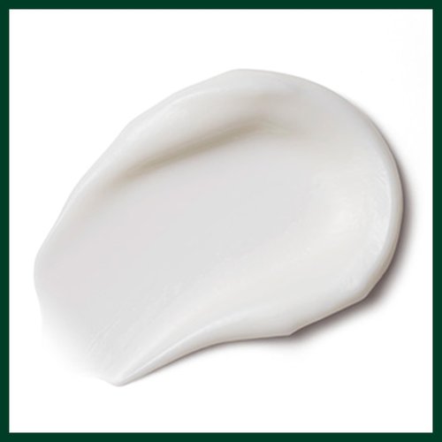 Aveda Nutriplenish Treatment Masque Light Moisture | Conditioning Masque for Fine to Medium Dry Hair | Organic Pomegranate Oil, Coconut Oil, Mango Butter | 98% Naturally Derived*, 5 Fl Oz