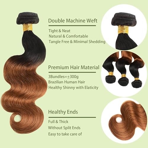 Honey Blonde Bundles Human Hiar 20 22 24 inch Ombre Straight Hair Weave for Black Women Brazilian Virgin Hair 12A Quick Weave 3 Bundles Double Weft£¨Black Ombre Honey Blonde£¬#T1B/27)