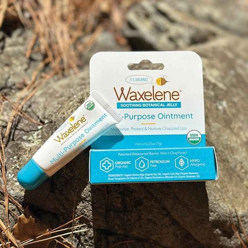Waxelene Multi-Purpose Ointment, Organic, Large & Lip Tube