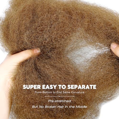 BLL Afro Kinkys Bulk Human Hair-100% Human Hair for Mini Twist Braiding Dreadlock Loc Extensions Afro Kinky Curly Hair Bulk Black Color (30#, 22 Inch Pack Of 1)