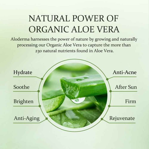 All Purpose Aloe Vera Gels Set - 6 Pieces - 300g Aloe Vera Gel, 300g Aloe Vera Gel + Tea Tree Oil, 2pcs x 200g Aloe Vera Gel, 114g Aloe Vera Gel & 45g Aloe Vera Gel