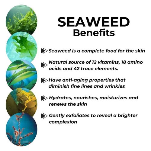Repechage Algo Mist Hydrating Seaweed Facial Spray for All Skin Types - Aloe and Vitamin C Infused Face Mist Keeps Skin Hydrated, Refreshed and Nourished, 6 fl oz.