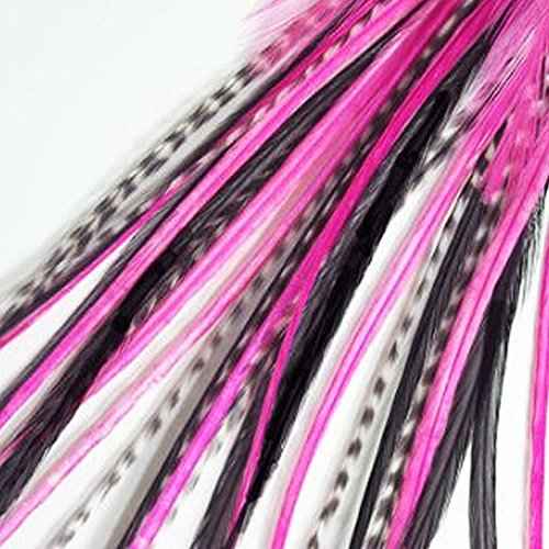 Feather Hair Extension ? Hot Pink, Black, and Grizzly Feathers, All Bonded Together at the Tip, Ranging From 6 to 11 Inches in Length, With a Total of 5 Feathers