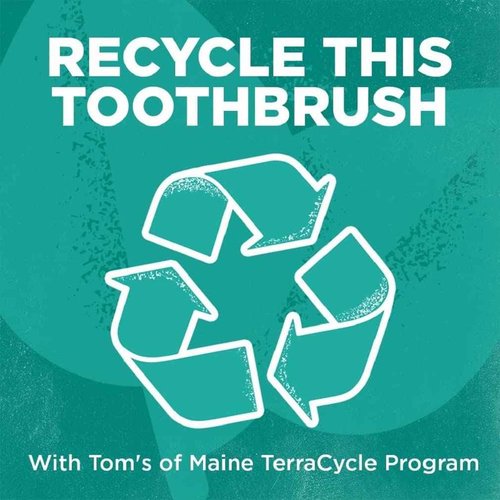 Tom's of Maine Gentle Charcoal Toothbrush, Soft, 8-Pack (Packaging May Vary)
