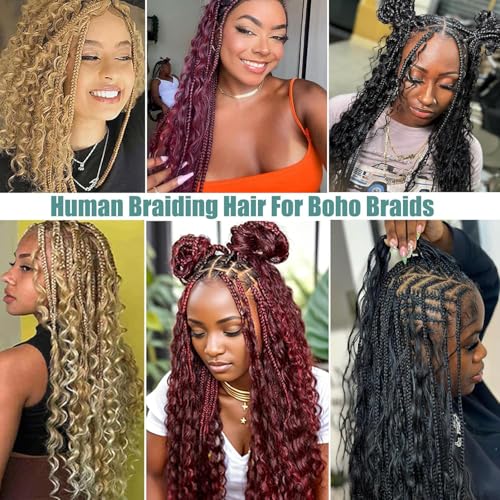 Deep Wave Bulk Human Hair for Braiding No Weft Human Braiding Hair For Boho Braids 100g 2 Bundles Brazilian Virgin Human Hair Extensions 20Inch 27#
