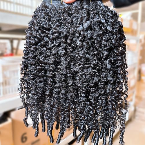 Burmese Curly Clip in Hair Extensions Human Hair 3C4A Lace Clip in Human Hair Extensions 7pcs 120g/set Spirally Curly Classic Clips Ins Real Human Hair Extension Full Head For Black Women 20 Inch