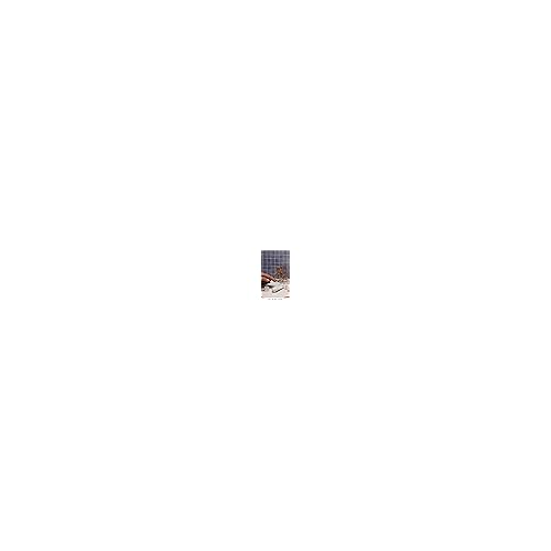 Dr. Hauschka Illuminating Fluid, 00 Translucent, Natural, Organic, Mineral, Blur Cream, Highlight, Brighten, 1.0 fl oz