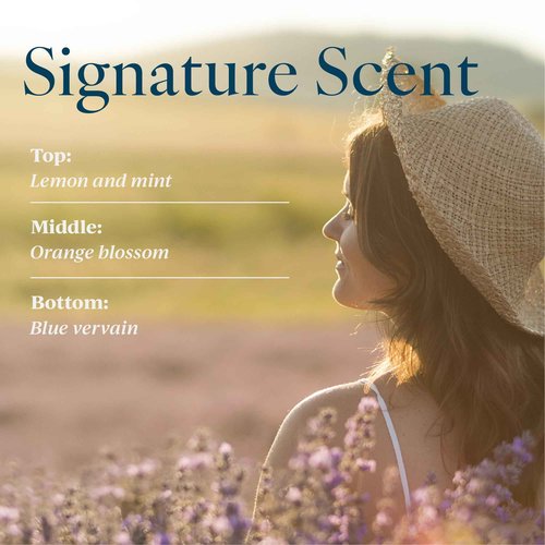 Provence Sante Natural Liquid Soap - Moisturizing Almond Oil Hand Soap with Lemon Vervain Scent - Elegant Pump Dispenser for Kitchen & Bath (16.9 oz)