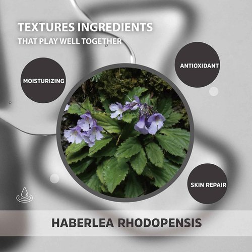 Trafiti Haberlea Oil – Natural Anti-Aging Moisturizer for Dry Skin, Fine Lines & Wrinkles, Lightweight Face Oil for Hair & Body – All Skin Types – Made in Taiwan – 25ml / 0.85 fl oz