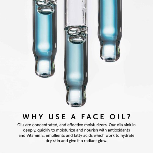 HERBIVORE Lapis Balancing Facial Oil with Blue Tansy + Squalane, Safe for Acne-Prone Skin | Helps Soothe Redness + Balance Oil Production, Lightweight, Non-Comedogenic, Plant-Based, 30 mL / 1 oz