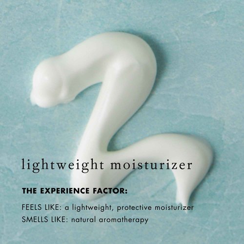 Bioelements RayDefense - 4 fl oz - Hydrating Broad-Spectrum SPF 30 Sunscreen & Moisturizer for All Skin Types - Vegan, Gluten Free - Never Tested on Animals