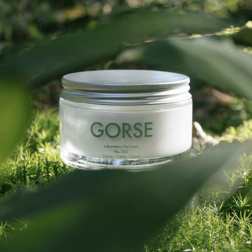 Laboratory Perfumes Gorse Body Cream | Brightening Moisturiser with Vitamin C & Antioxidants | Infused with Gorse Fragrance (200ml)