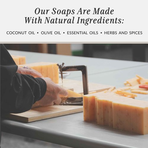 Plantlife Pumpkin Spice 3-pack Bar Soap - Moisturizing and Soothing Soap for Your Skin - Hand Crafted Using Plant-Based Ingredients - Made in California 4 oz Bar