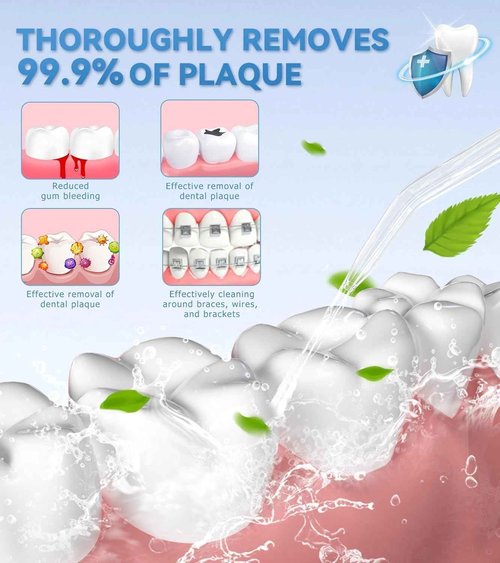 HEYAXA Water Dental Flosser for Teeth Cleaning with 1000ML Large Capacity and UV Storage, 10 Adjustable Pressure Electric Oral Irrigator with 7 Jet Tips, Gifts for Dental Health Seekers (Black)