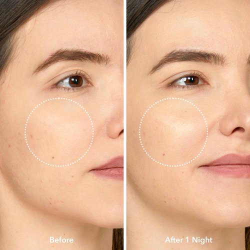 Beekman 1802 Midnight Milk Better Aging Sleep Face Cream - Fragrance Free - 2.13 fl oz - Overnight Mask - With Bakuchiol & Melatonin - Good for Sensitive Skin - Cruelty Free