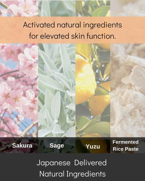 teinei DEEP HYDRATING CREAM ONE